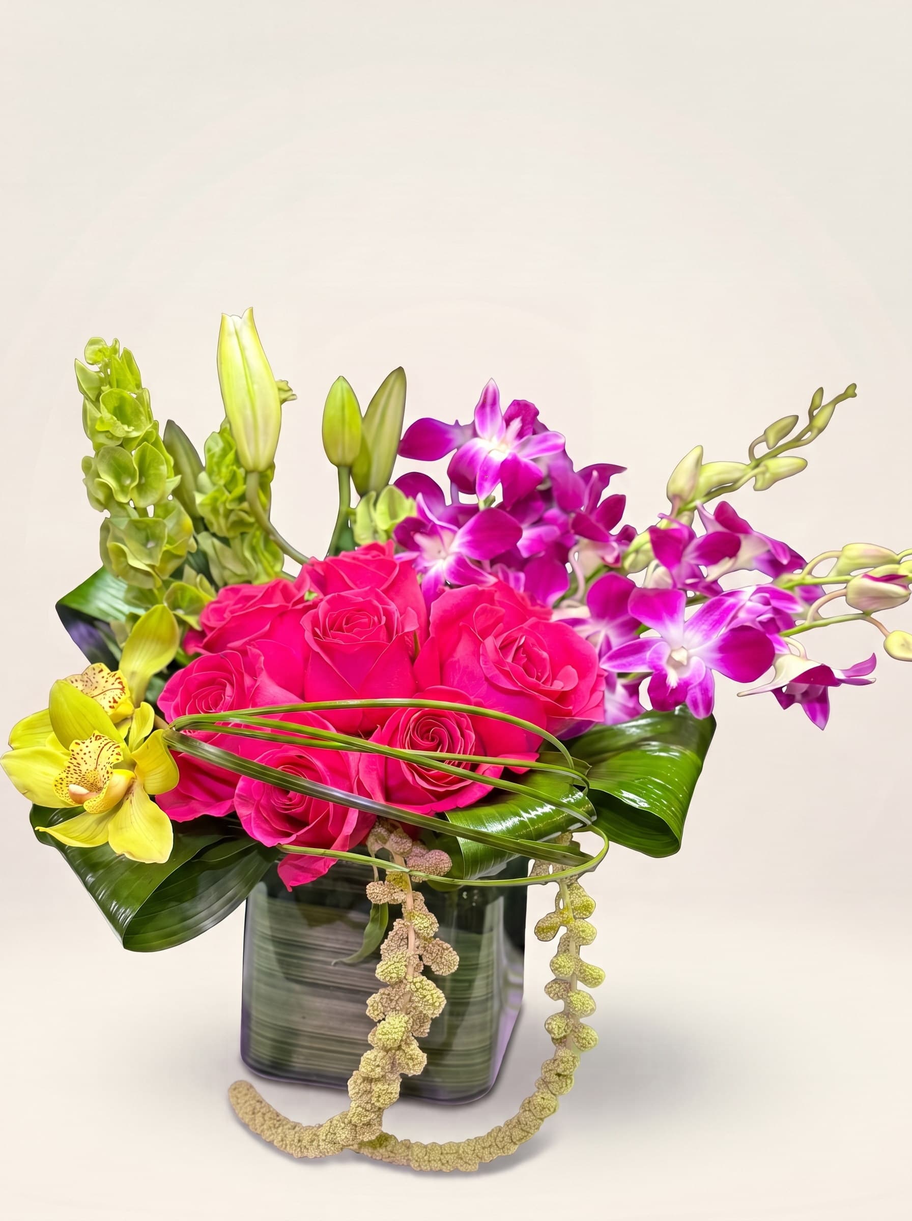 Fuchsia Tropics