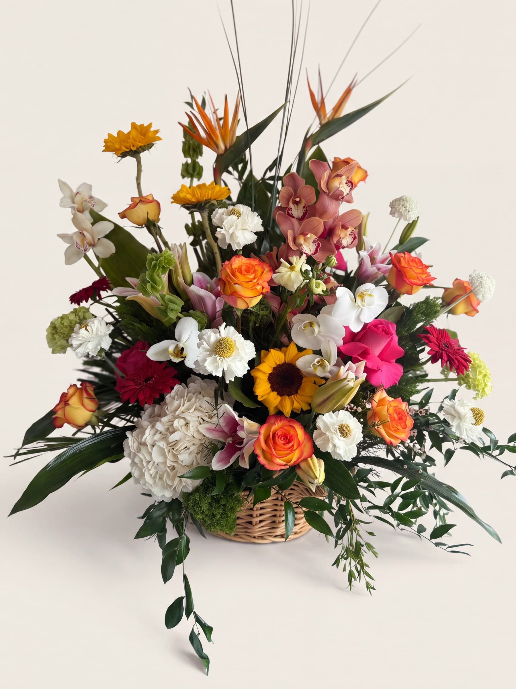 Wicker sympathy basket with birds of paradise, cymbidium and phalaenopsis orchids, sunflowers, roses, and lilies