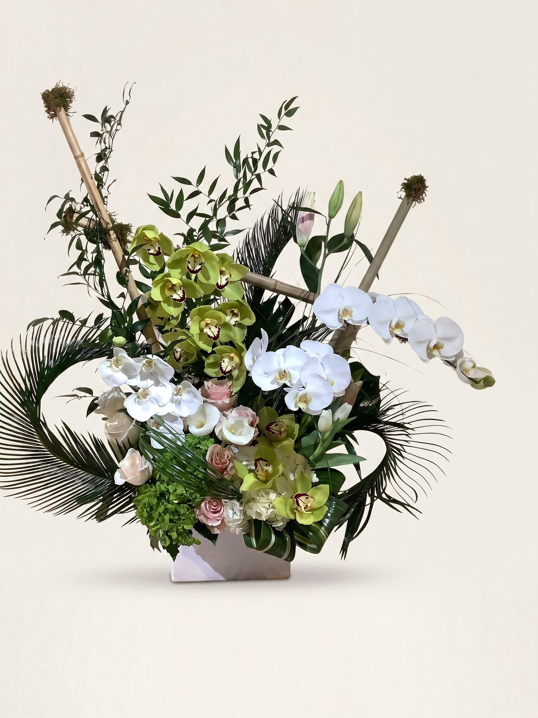 Green cymbidium and white phalaenopsis orchids with blush roses and fan palm in a white container