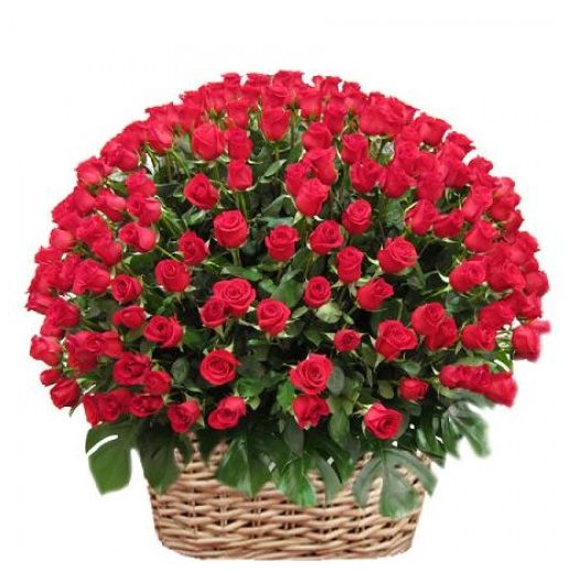 Hundred Roses Basket with long-stem red roses