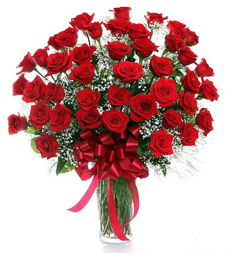 Three dozen long-stem red roses in tall clear vase